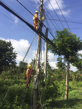 Nhân viên Điện lực Châu Đức sửa chữa lưới điện nông thôn; phát quang dây leo, nhánh cây có thể gây sự cố cho đường dây dẫn điện. 