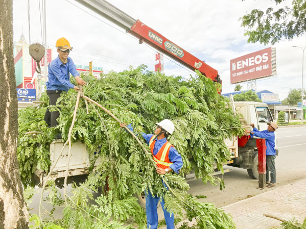Công nhân Công ty CP Công trình đô thị Tân Thành thu gom cành, nhánh cây xanh sau khi cắt tỉa trên QL51.
