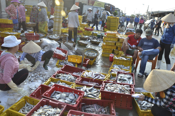 Hoạt động ở một cơ sở sơ chế hải sản tại khu phố Hải Hà (huyện Long Điền) hàng ngày xả thải ra môi trường gây ô nhiễm không khí, nguồn nước của vùng biển khu vực này. Ảnh: SONG THƯ
