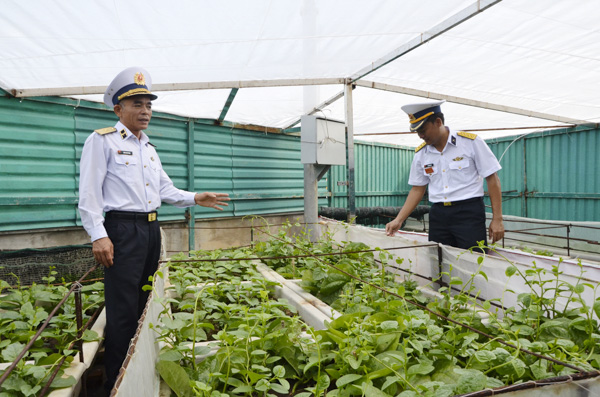 Chuẩn đô đốc Lương Việt Hùng (trái), Phó Tư lệnh Quân chủng Hải quân thăm vườn rau ở đảo Tiên Nữ.
