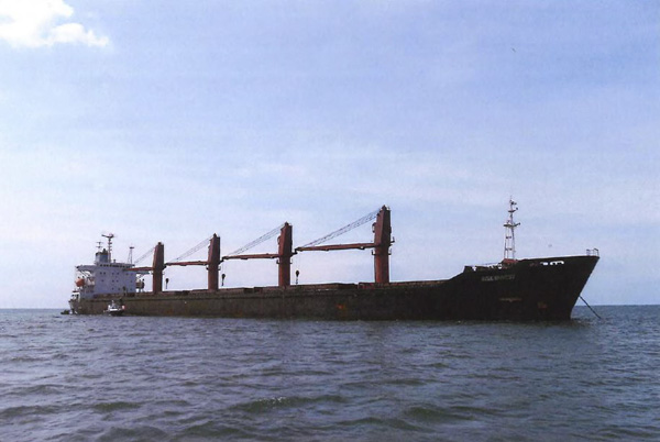Tàu Wise Honest của Triều Tiên được cho là sử dụng để vận chuyển than. 