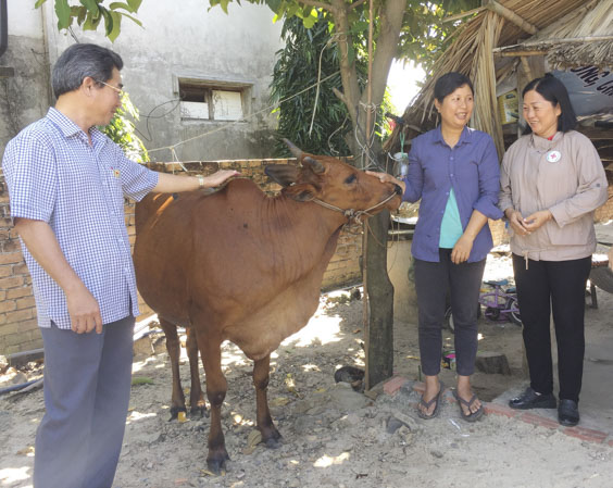 Đại diện Hội Chữ thập đỏ tỉnh và Công ty Điện lực TNHH BOT Phú Mỹ 3 trao bò giống cho gia đình anh Ngô Văn Cường (xã Châu Pha, TX.Phú Mỹ) cuối năm 2018. Ảnh: TƯỜNG NGÂN