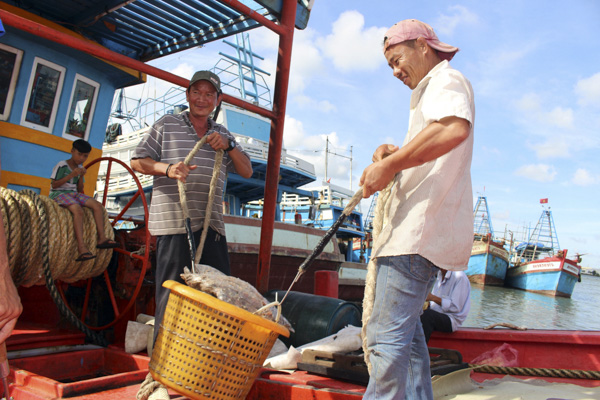 Ngư dân lấy cá từ tàu mới cập bến tại Cảng Bến Đá, phường 5, TP.Vũng Tàu.