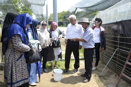 Đoàn công tác TP. Padang tham quan thực tế khu vực nuôi tôm của Công ty TNHH nuôi trồng thủy sản Minh Phú - Lộc An.
