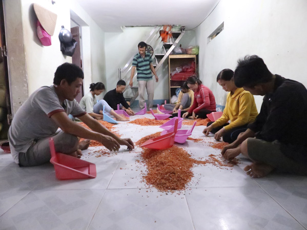 Phân loại tôm tại cơ sở sơ chế tôm của anh Trần Văn Quynh (ấp Phước Thắng, xã Phước Tỉnh), một trong những gương làm kinh tế giỏi của địa phương.