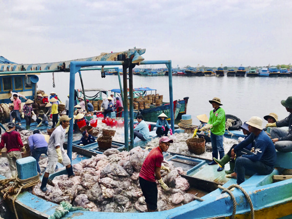 Cảng cá Hưng Thái đã đầu tư hệ thống xử lý nước thải đạt chuẩn để tiếp nhận thêm ghe tàu và các cơ sở  phân loại hải sản trên địa bàn huyện về đây hoạt động.