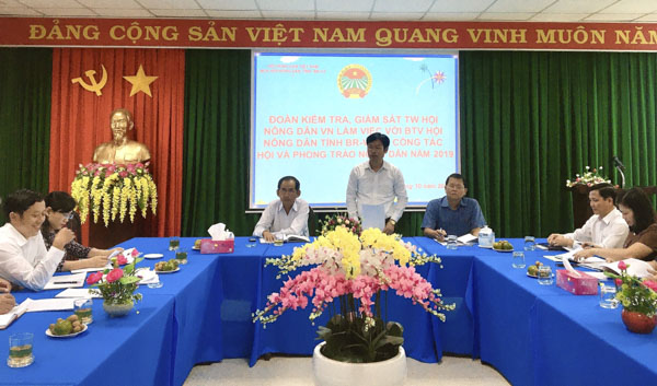 Ông Nguyễn Xuân Định (giữa) Phó Chủ tịch Hội Nông dân Việt Nam phát biểu tại buổi làm việc.