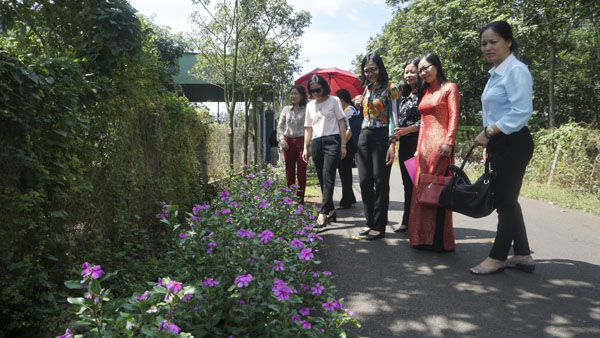 Đoàn công tác Trung ương Hội LHPN Việt Nam tham quan mô hình trồng hoa đường nông thôn tại xã Kim Long (huyện Châu Đức).                    