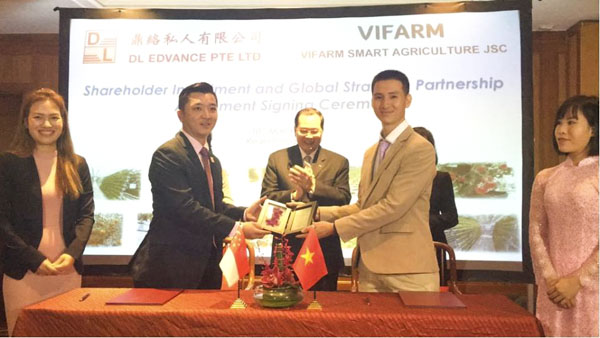 Công ty CP Nông nghiệp công nghệ cao Vifarm ký kết với đối tác Singapore chuyển giao công nghệ trồng rau sạch.