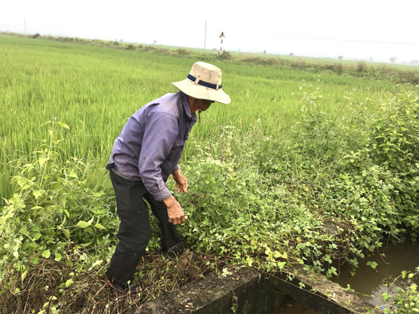 Nông dân xã An Nhứt, huyện Long Điền kiểm tra, dọn dẹp hệ thống kênh mương để chuẩn bị cho vụ Đông Xuân.