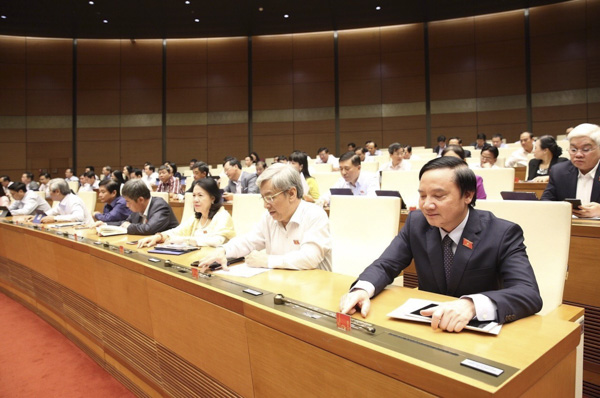 Các đại biểu biểu quyết thông qua Luật Tổ chức Chính phủ và Luật Tổ chức chính quyền địa phương. Ảnh: Dương Giang