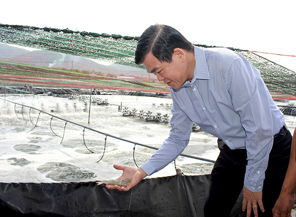 Ông Nguyễn Hồng Lĩnh, Ủy viên Trung ương Đảng, Bí thư Tỉnh ủy, Chủ tịch HĐND tỉnh khảo sát chất lượng tôm nuôi bằng công nghệ cao tại Cơ sở Liên Giang ( huyện Long Điền).