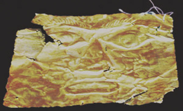 Chiếc mặt nạ vàng được tìm thấy trong các cuộc khai quật khảo cổ tại Long Sơn.