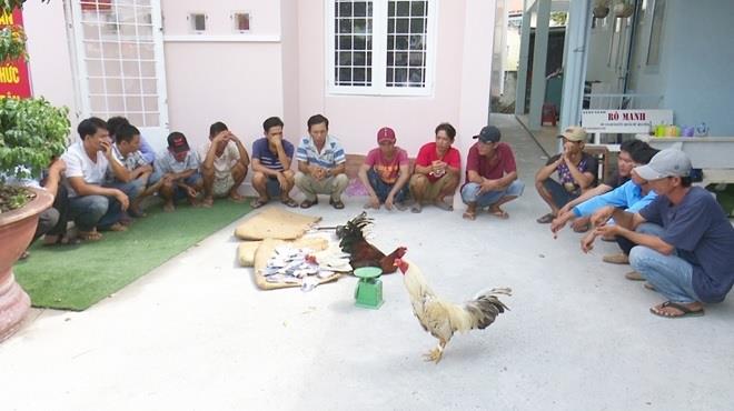 Các đối tượng và tang vật.
