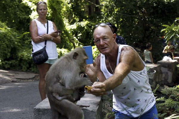 Du khách thích thú với đàn khỉ ở chùa Tam Bảo.
