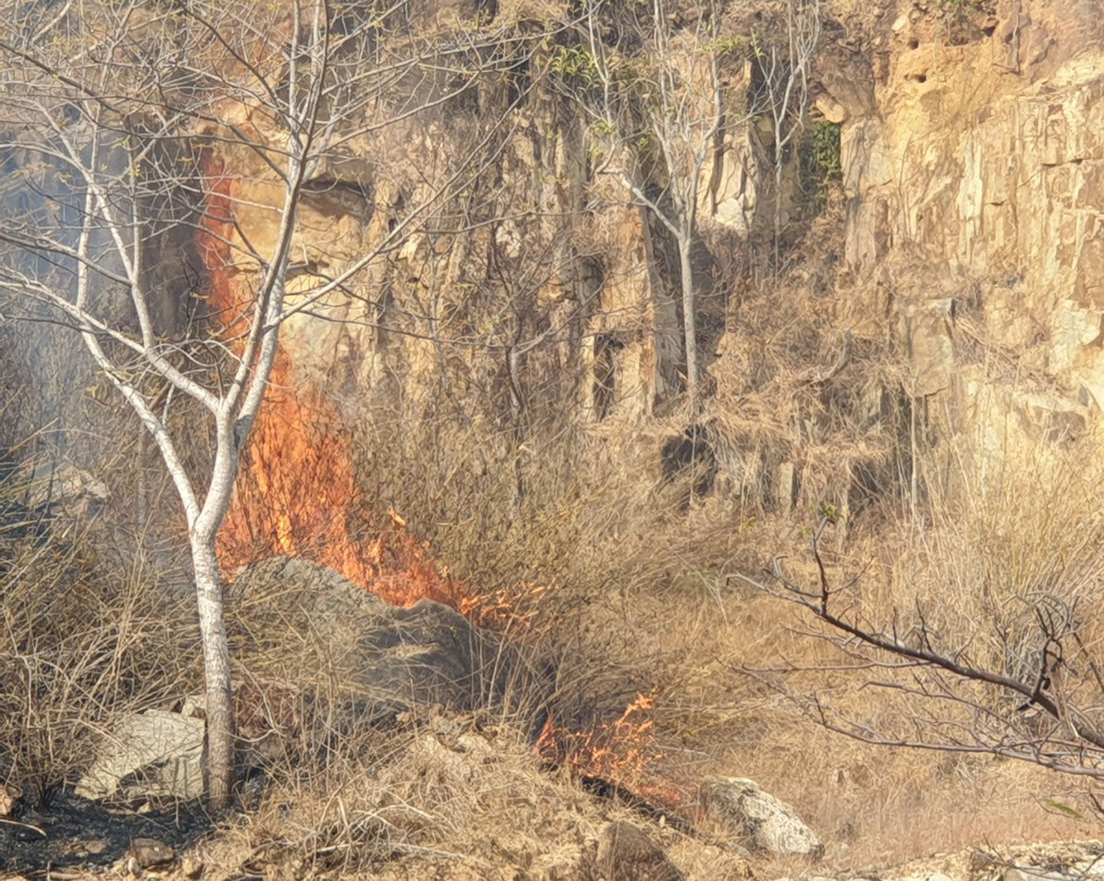 Một đám cháy rừng trên núi Minh Đạm