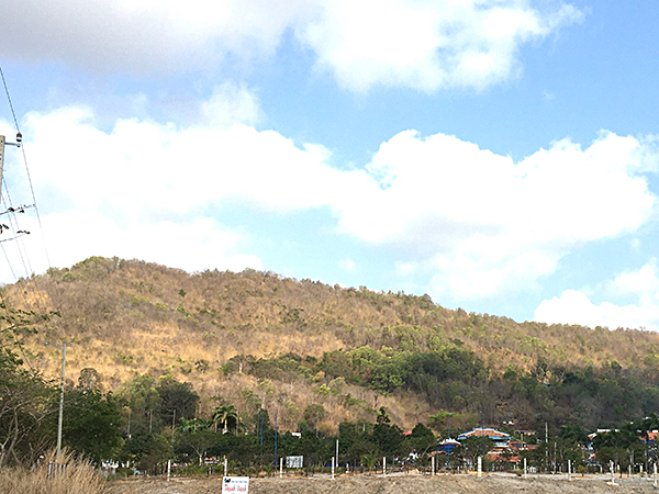 Một phần núi Nứa tại xã Long Sơn, TP Vũng Tàu. 
