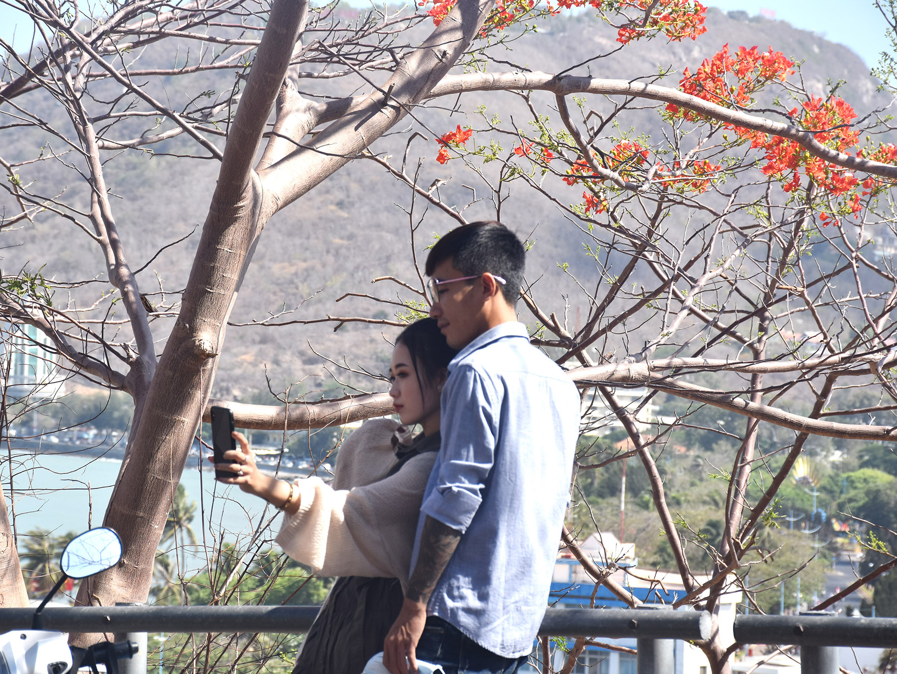  Những cây phượng đang nở đỏ thắm được nhiều bạn trẻ lựa chọn để chụp ảnh khi lên cung đường Hải Đăng.