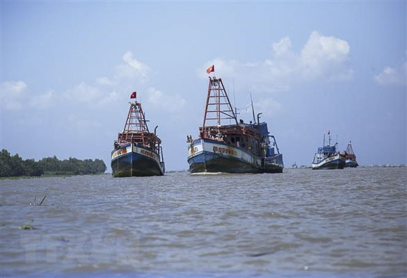 Các tàu cá của ngư dân Việt Nam vươn khơi khai thác hải sản.  (Ảnh: TTXVN)