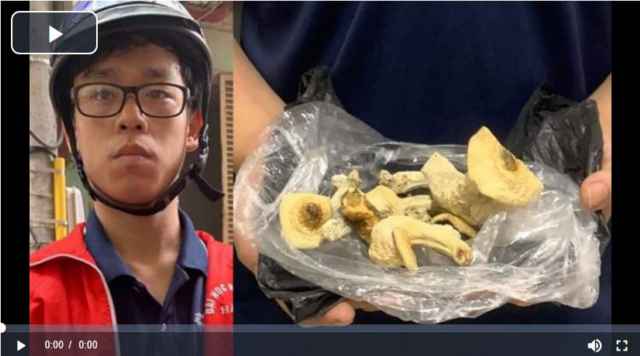 Phát hiện nấm ma túy lần đầu xuất hiện tại Hà Nội