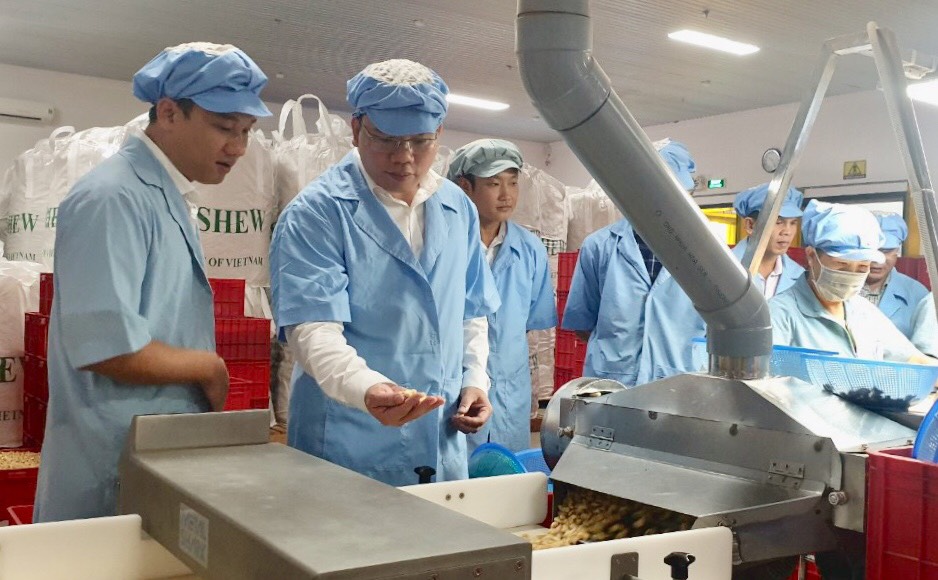 ông Hoàng Nguyên Dinh, Chủ tịch UBND huyện Châu Đức tham quan quy trình chế biến hạt điều tại Công ty TNHH SX-TM Phúc Vinh