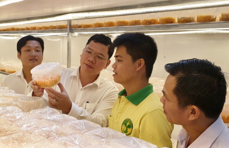 ông Hoàng Nguyên Dinh, Chủ tịch UBND huyện Châu Đức tham quan quy trình trồng nấm tại Công ty TNHH nấm sinh học VINABIMUSH (thôn Tân Bình, xã bàu Chinh)