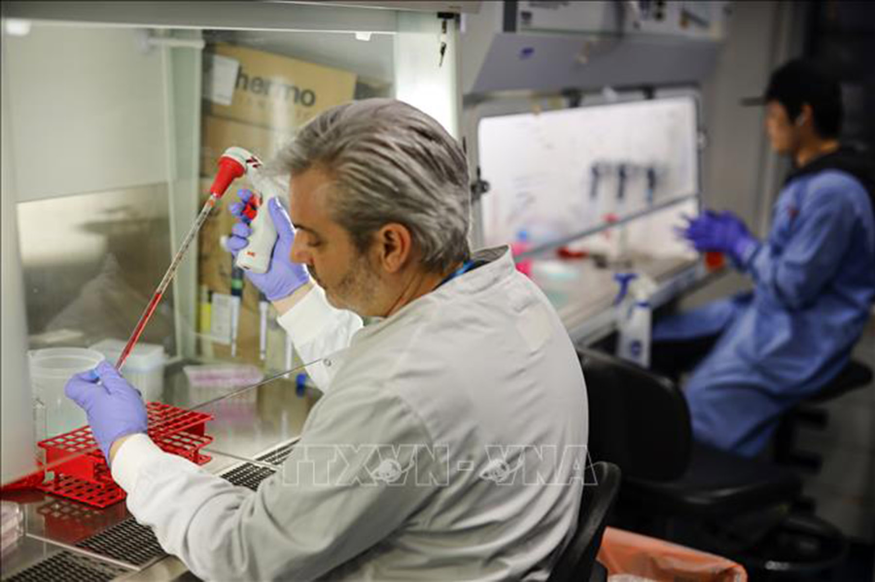 Nghiên cứu vaccine phòng COVID-19 tại một phòng thí nghiệm ở London, Anh ngày 10/2. Ảnh: AFP