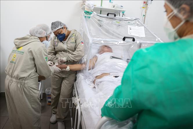 Nhân viên y tế điều trị cho bệnh nhân mắc COVID-19 tại một bệnh viện ở Manaus, Brazil ngày 8/6. Ảnh: AFP