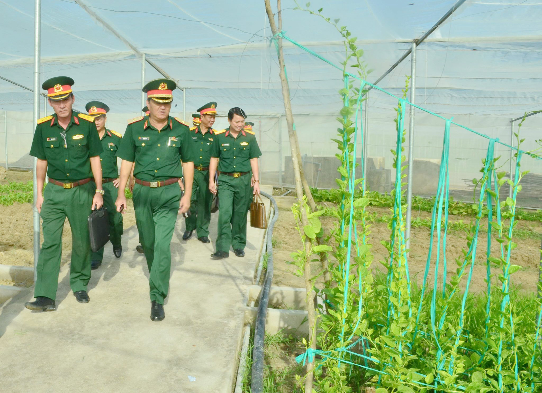 Lãnh đạo Quân khu 7 và Bộ CHQS tỉnh tham quan vườn rau tăng gia sản xuất tại Trung đoàn Minh Đạm.
