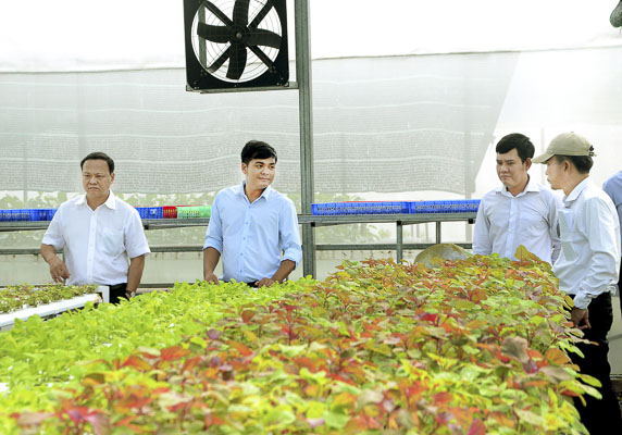 Du khách tham quan vườn rau thủy canh  của Công ty CP Nông nghiệp sạch Sao Mai (xã Long Mỹ, huyện Đất Đỏ).