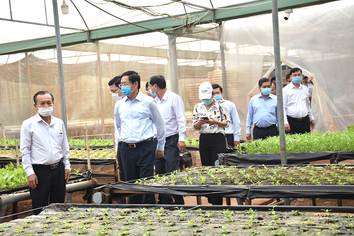 Bí thư Tỉnh ủy Phạm Viết Thanh (thứ 2 từ trái sang) cùng đoàn công tác của Tỉnh ủy tham quan trang trại rau sạch Vương Huy tại huyện Châu Đức.
