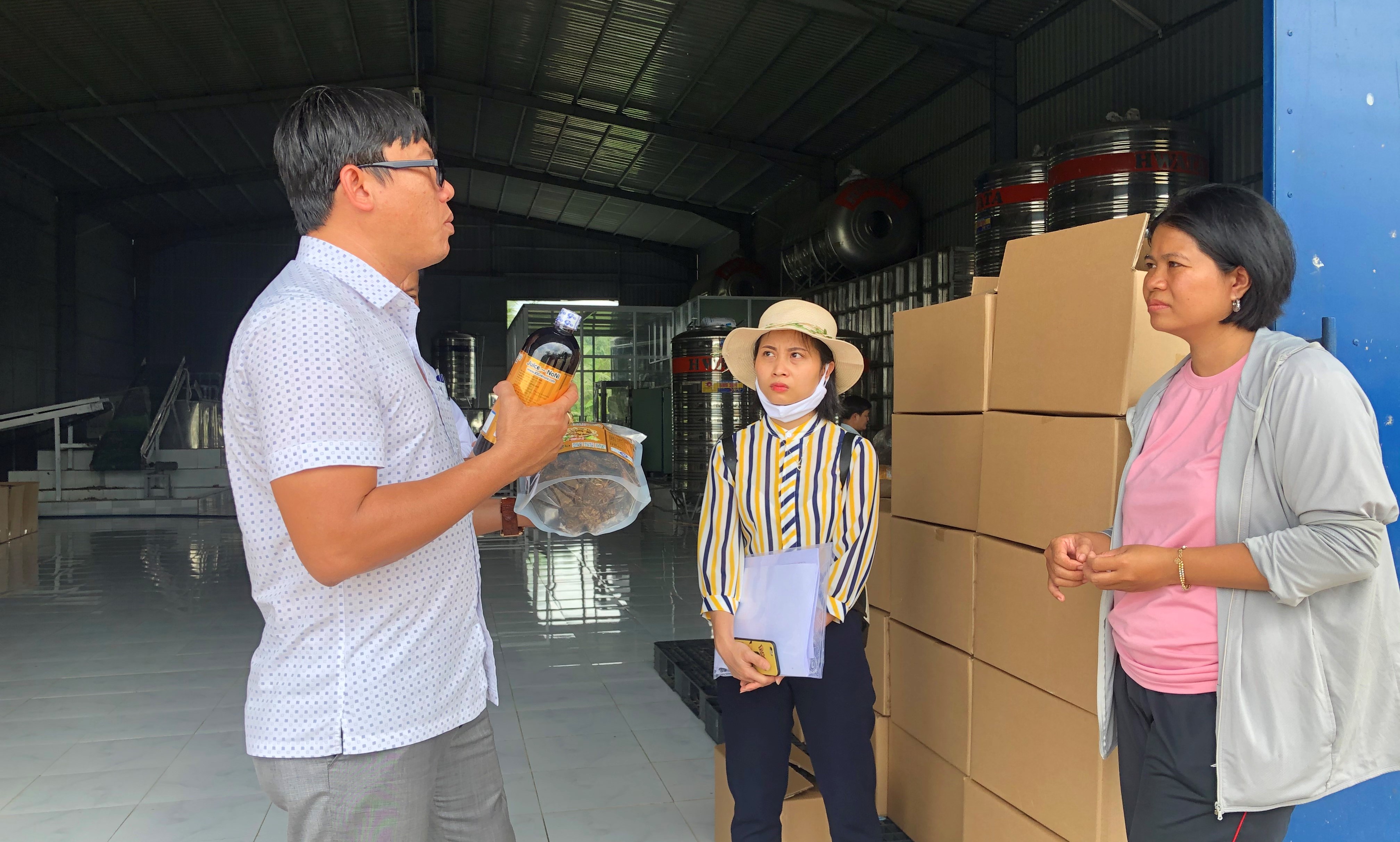 Sản phẩm nước cốt nhàu và nhàu sới lạnh của anh Phạm Văn Phong đang được Sở NN-PTNT hướng dẫn đăng ký sản phẩm nông nghiệp công nghệ cao.