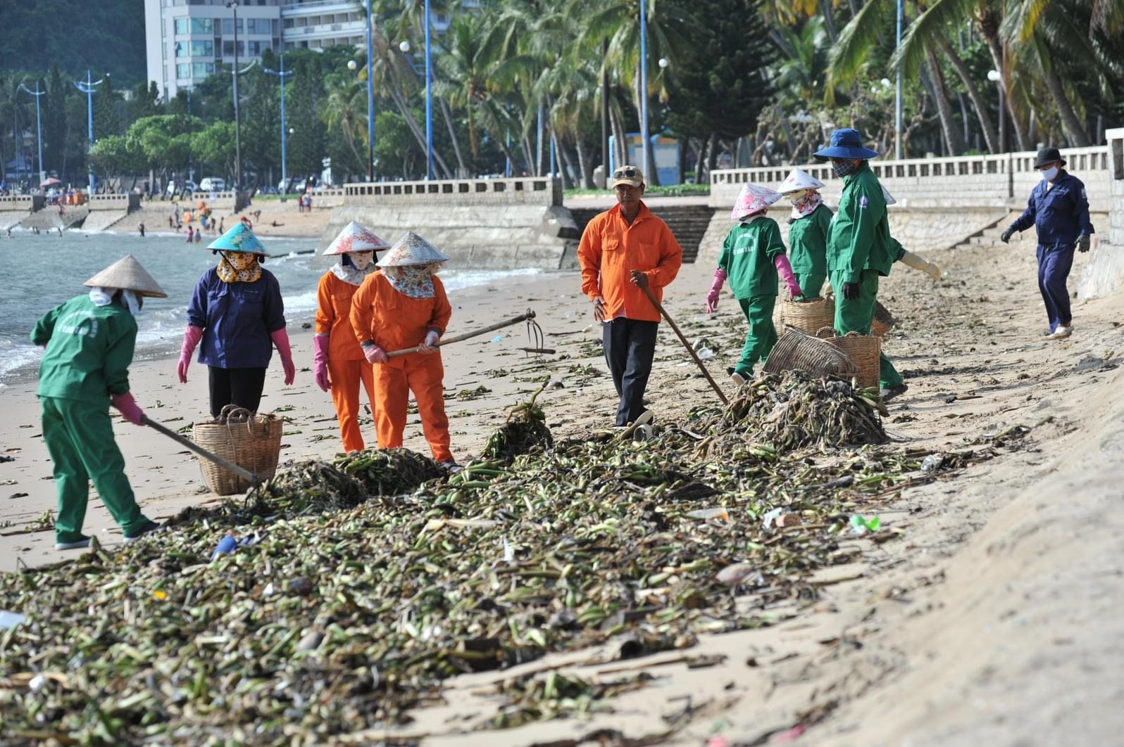 Công nhân Công ty CP dịch vụ  môi trường và Công trình đô thị Vũng Tàu thu gom rác đại dương trôi dạt vào biển Bãi Trước - Vũng Tàu.