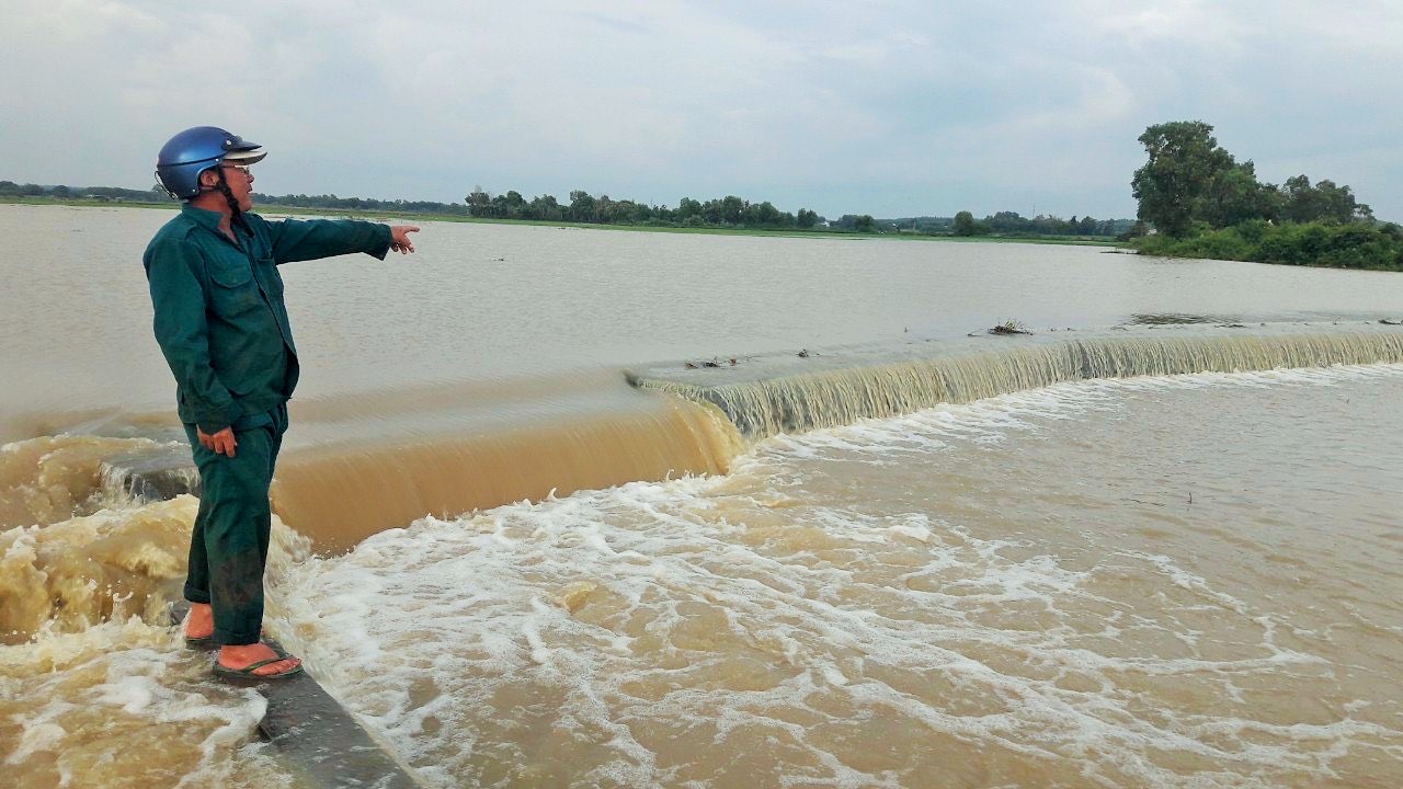 Cánh đồng lúa xã An Nhứt bị nhấn chìm trong nước nhiều ngày qua.