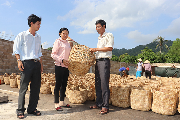 Doanh nghiệp Sản xuất-Thương mại Hiệp Hóa (khu phố Hải Tân, TT.Long Hải, huyện Long Điền) chuyên gia công các sản phẩm từ cây lục bình, doanh thu đạt từ 12-15 tỷ đồng/năm.