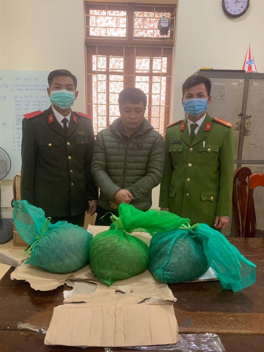 Bắt đối tượng mua bán, vận chuyển động vật hoang dã trái phép