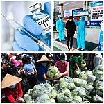 Chỉ đạo, điều hành của Chính phủ, Thủ tướng Chính phủ nổi bật tuần