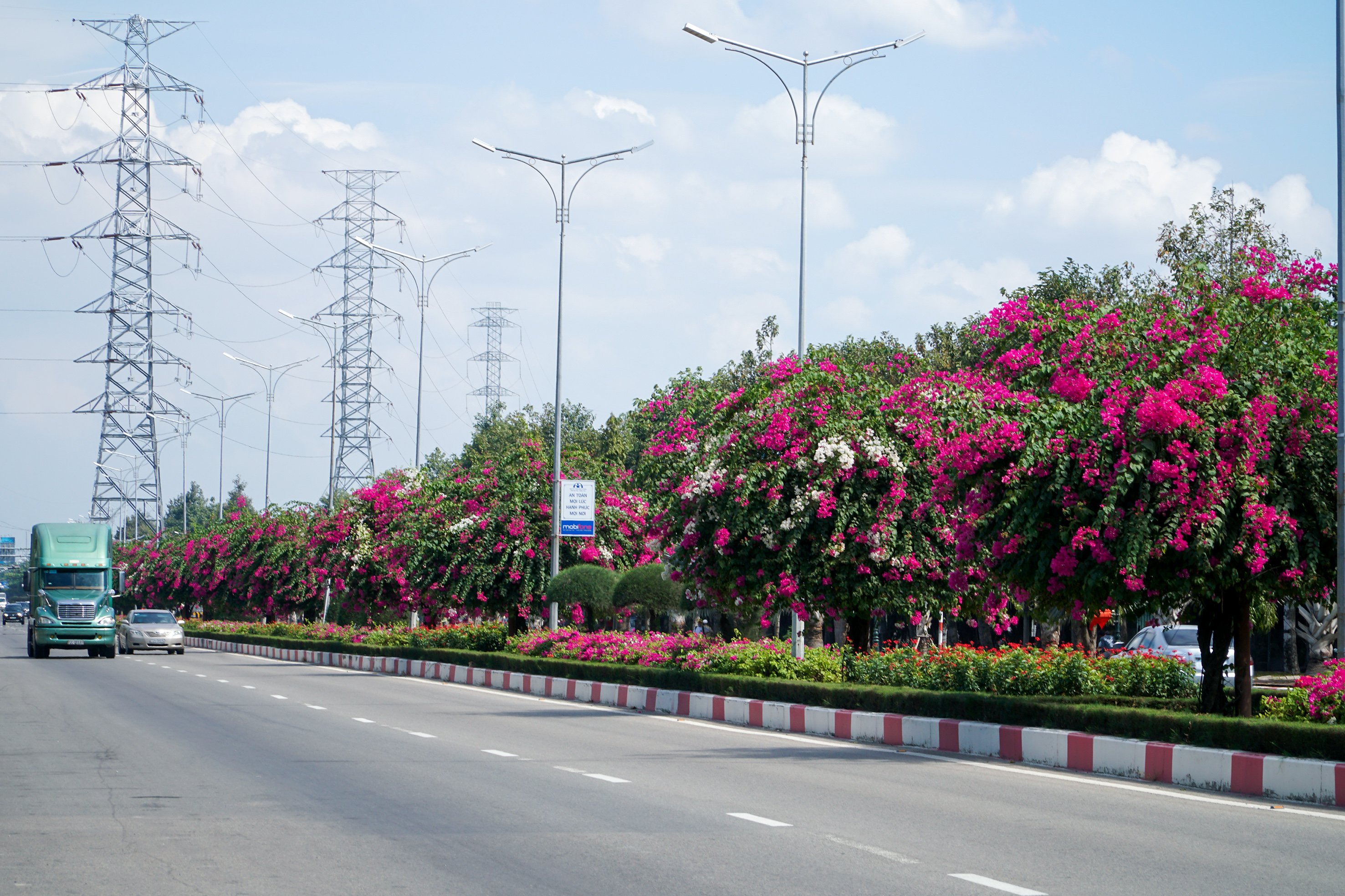 Những cây bông giấy góp phần làm đẹp cho đô thị, tạo điểm nhấn đặc trưng cho tuyến đường 2/9 dẫn vào trung tâm TP. Vũng Tàu.