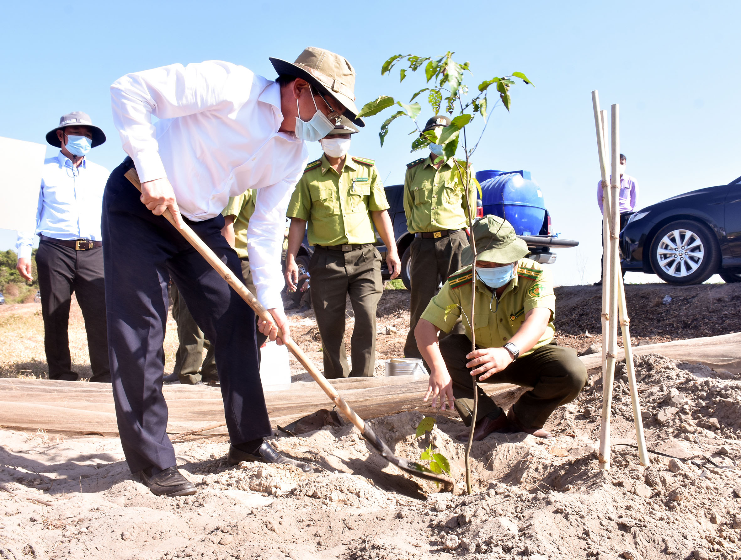 Ông Phạm Viết Thanh, Ủy viên Trung ương Đảng, Bí thư Tỉnh ủy cùng các đại biểu tham gia trồng cây.