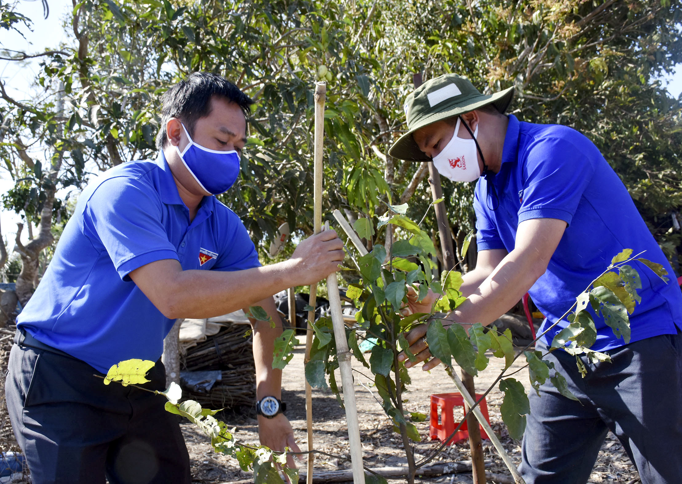 Lực lượng ĐVTN tham gia trồng cây.