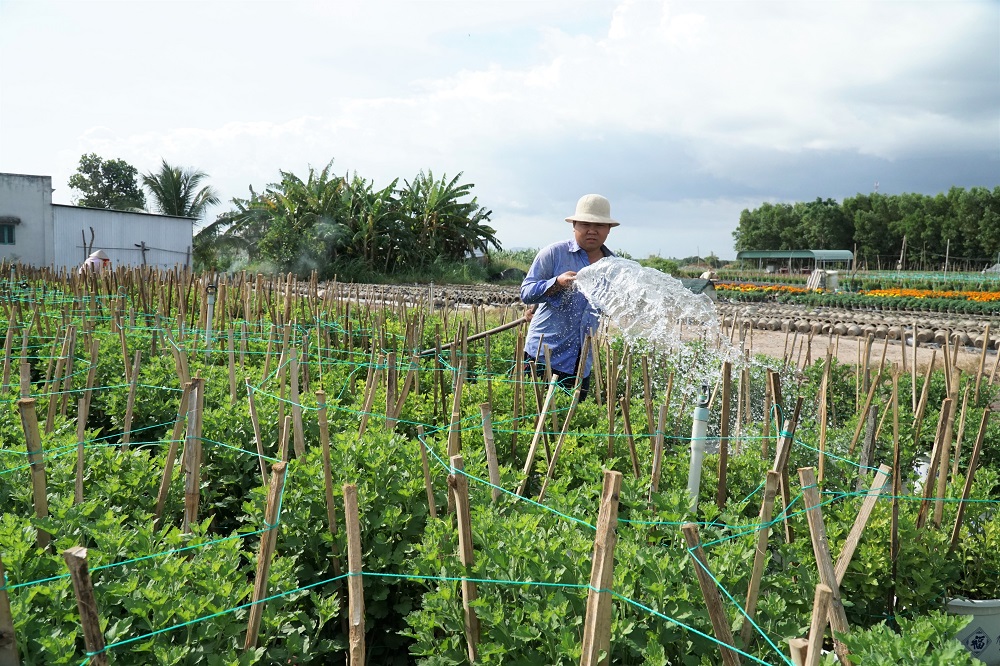Nhiều mô hình kinh tế hiệu quả đã được các địa phương triển khai nhằm nâng cao thu nhập cho người dân. Trong ảnh: Mô hình trồng hoa tại xã Phước Long Thọ, huyện Đất Đỏ.