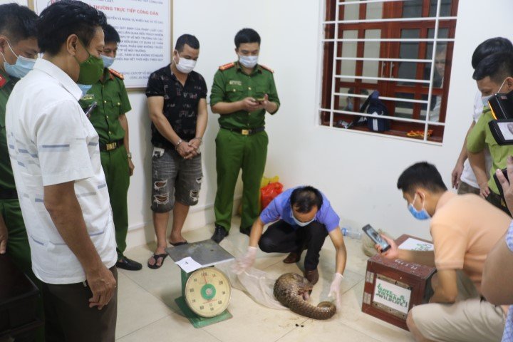 Lực lượng chức năng kiểm đếm tang vật 