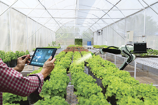 Công ty TNHH 4K farm sử dụng các ứng dụng trên điện thoại thông minh để kiểm tra quá trình chăm sóc đến tiêu thụ sản phẩm.