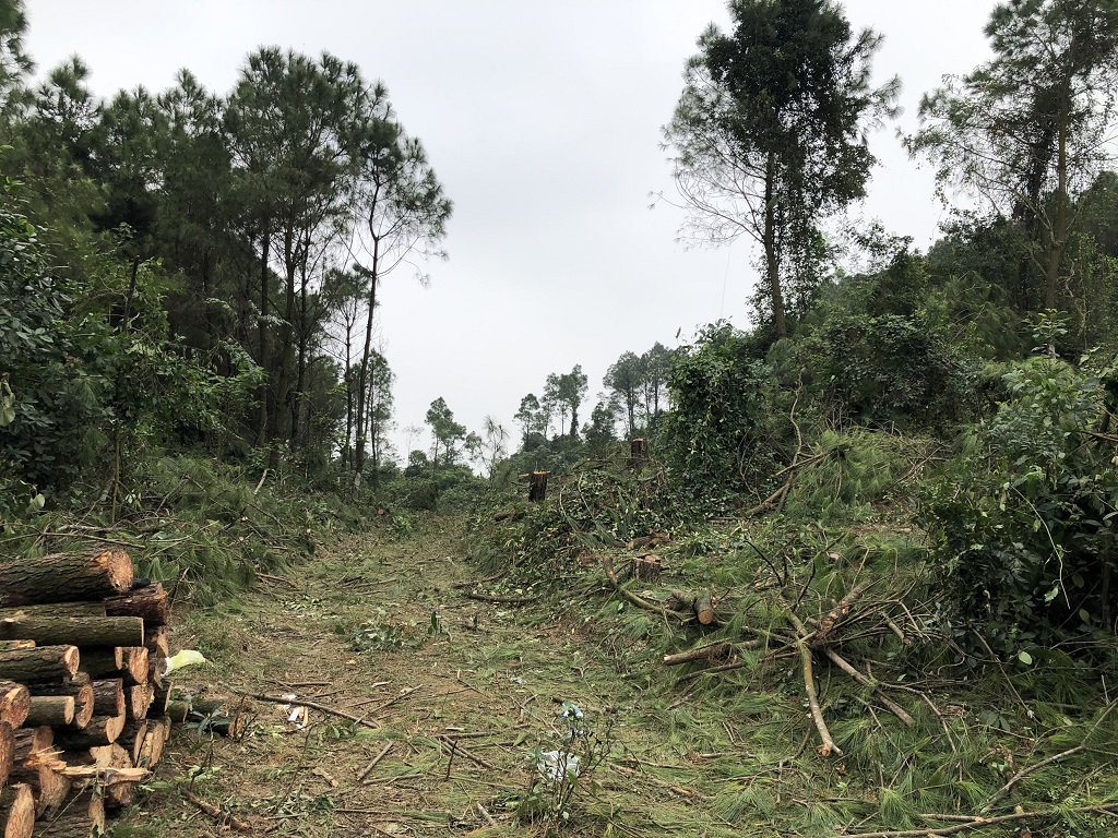 Hiện trường vụ việc