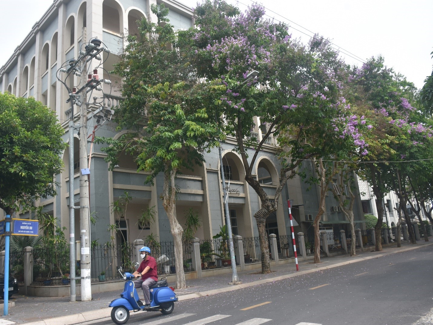 Hàng cây bằng lăng khoe sắc tím trên đường Nguyễn Du.