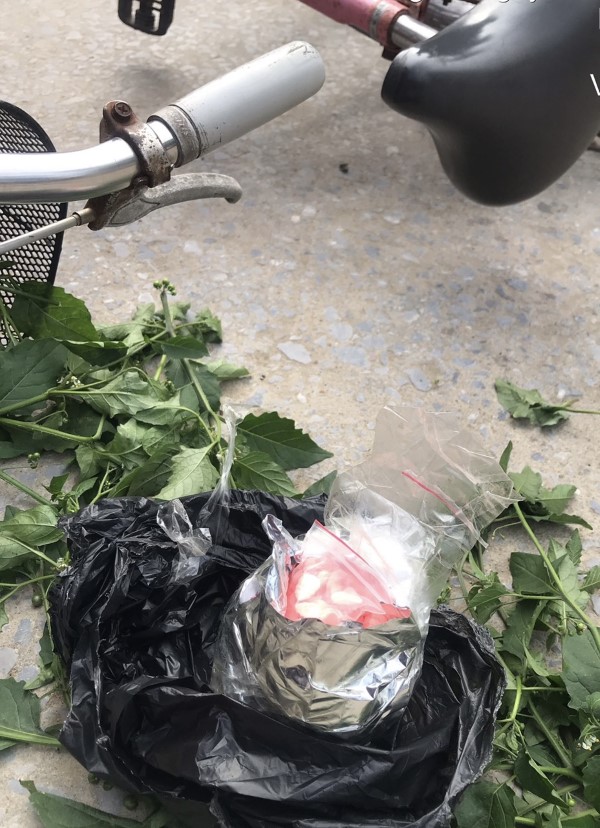 Thời điểm bị bắt, Toàn đang đi giao hàng bằng xe đạp, 1.000 viên thuốc lắc được ngụy trang dưới lớp rau củ để trong giỏ xe đạp