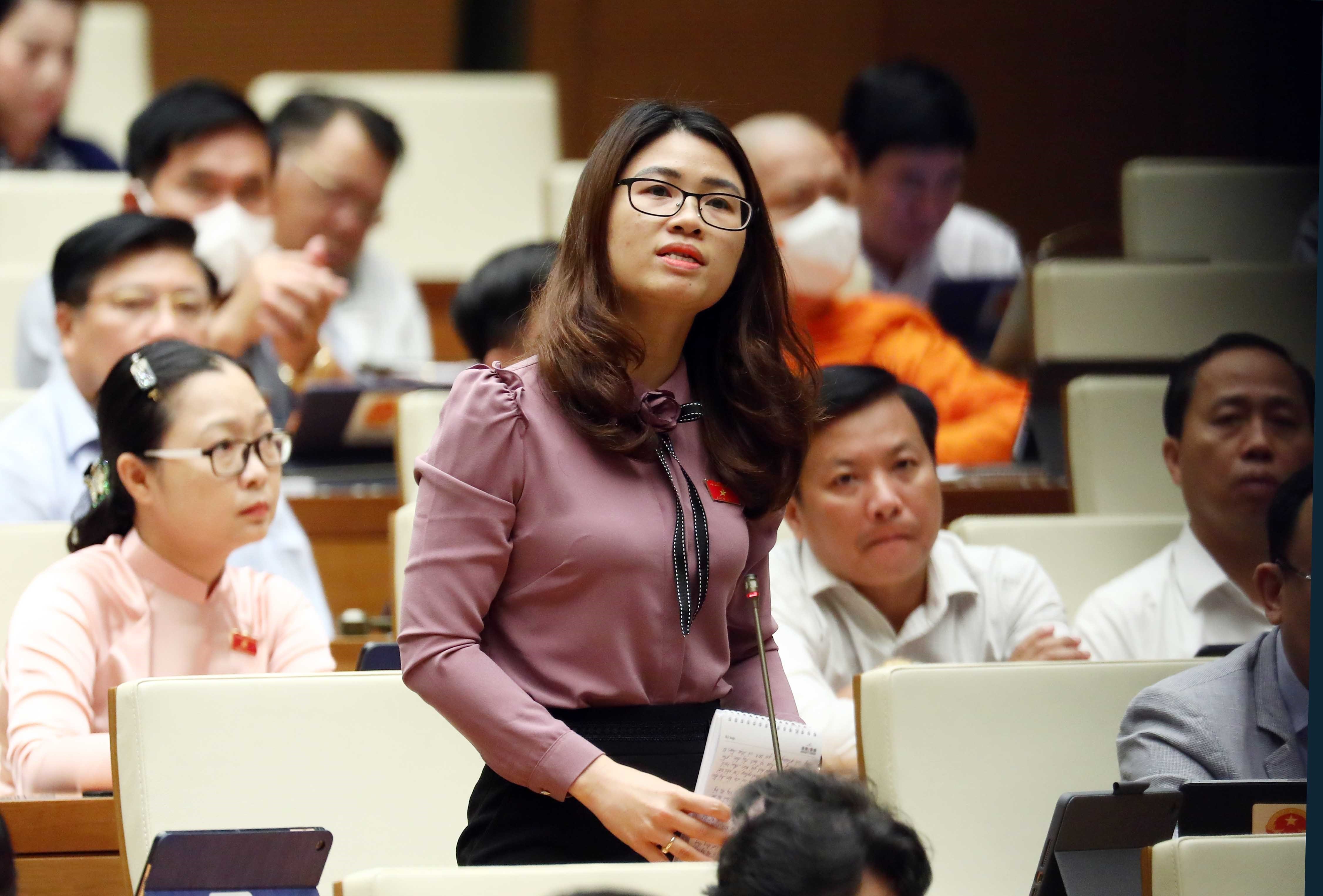 Đại biểu Quốc hội tỉnh Hải Dương Đinh Thị Ngọc Dung đặt câu hỏi chất vấn.