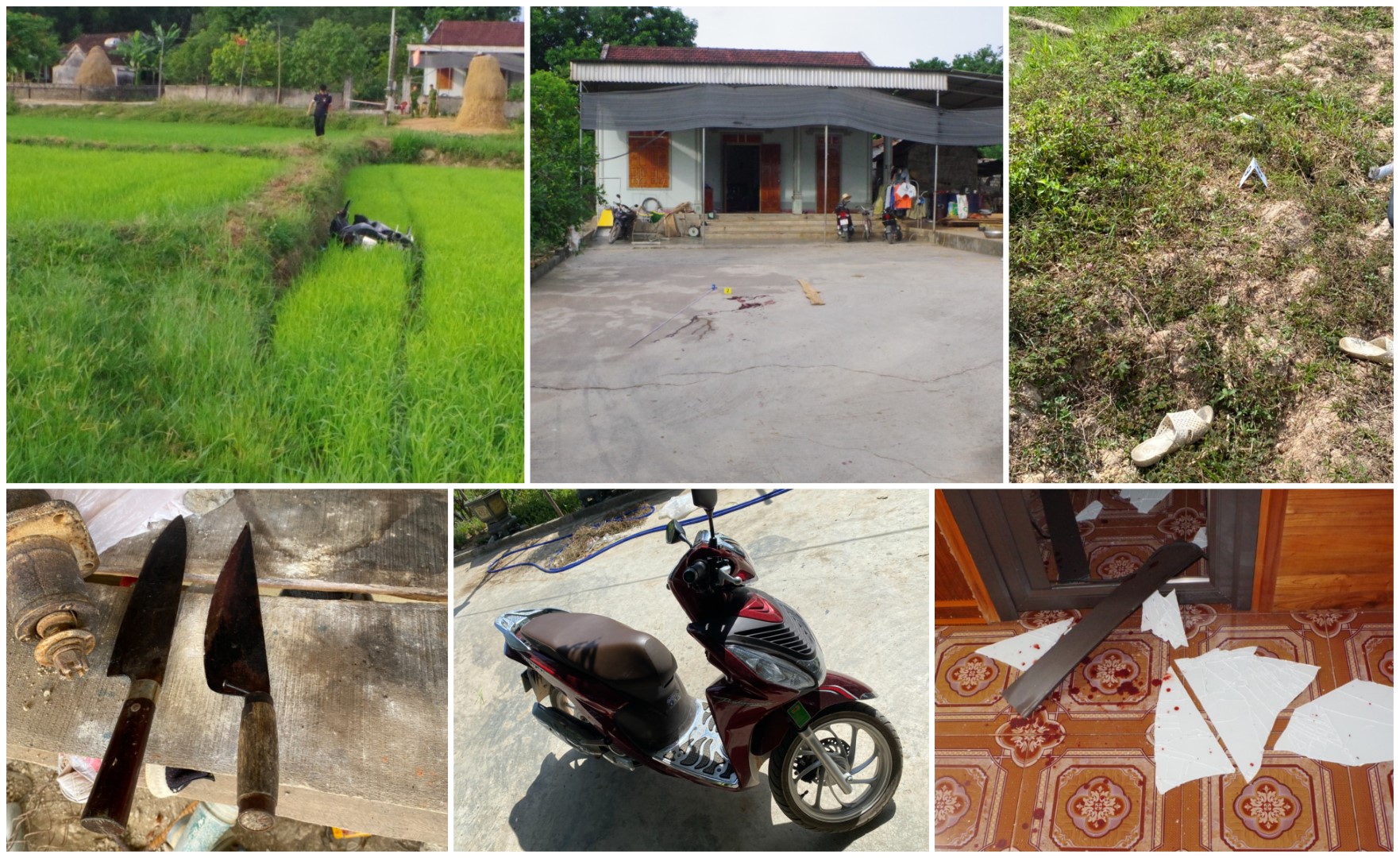 Hiện trường và tang vật