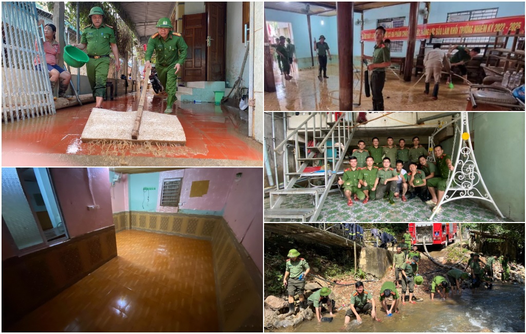 Thành quả của những ngày làm việc không biết mệt mỏi