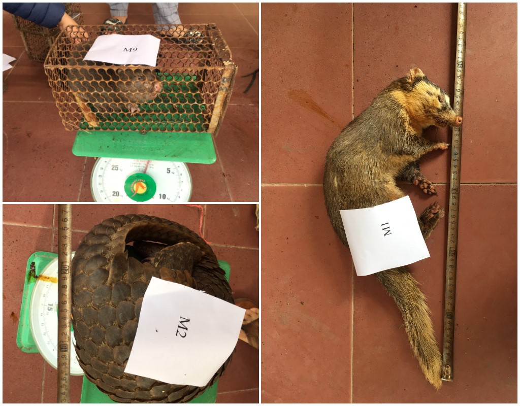 Tang vật vụ án